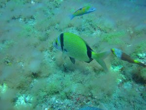 Clicca per vedere altre foto